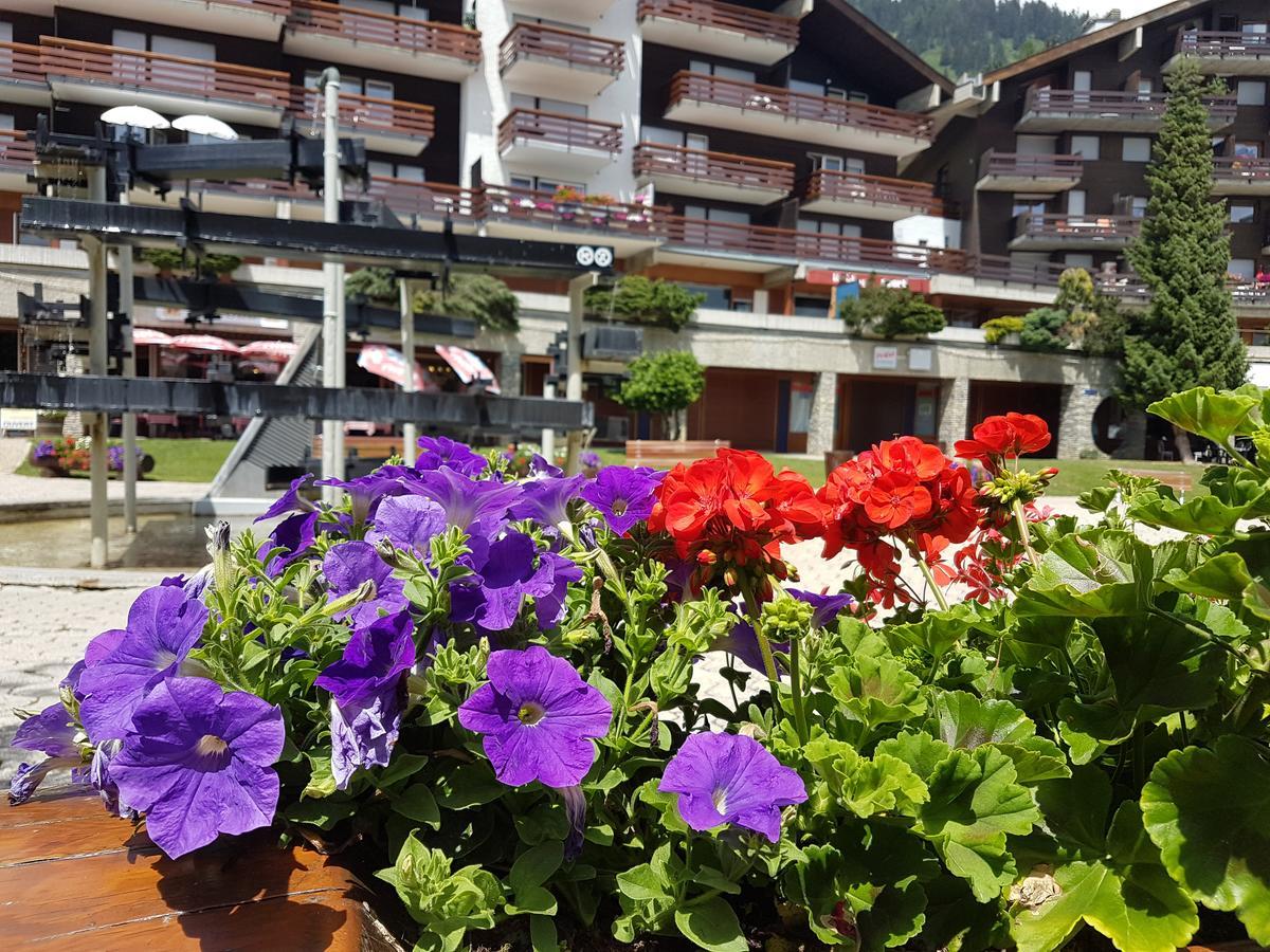 Holidays Groupes Anzère Εξωτερικό φωτογραφία