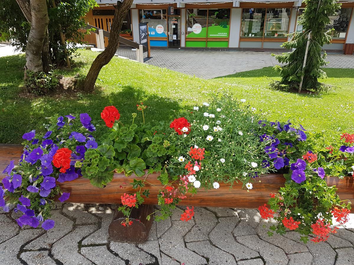 Holidays Groupes Anzère Εξωτερικό φωτογραφία
